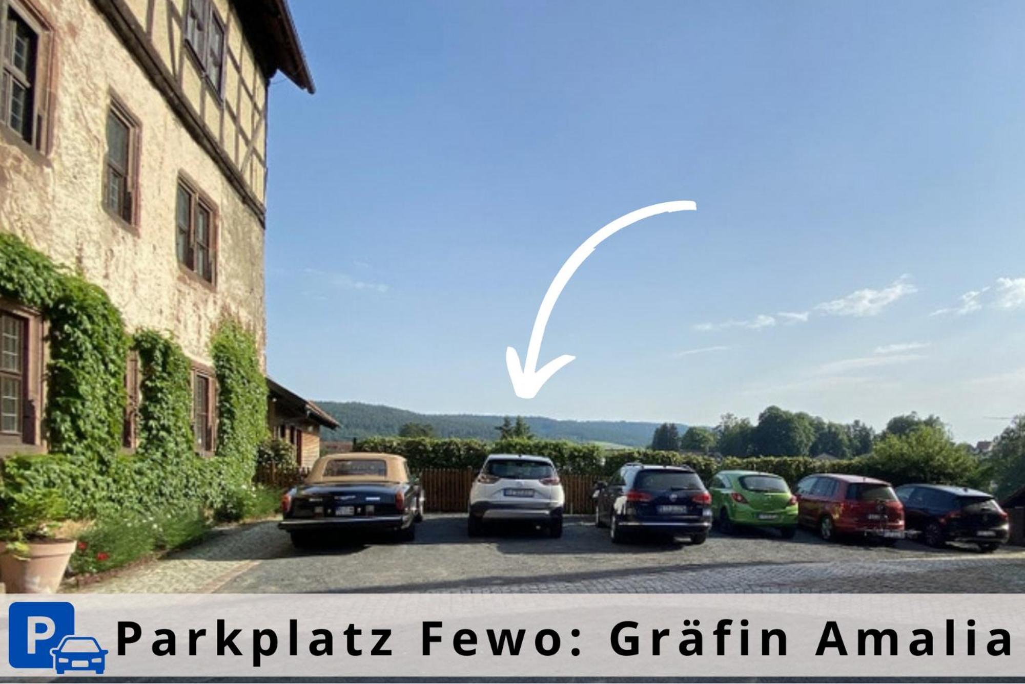 Graefin Amalia - Elegantes Apartment In Der Historischen Hinterburg In Schlitz, 2 Schlafzimmer, Mit Garten, Nahe Fulda Und Bad Hersfeld Exterior photo